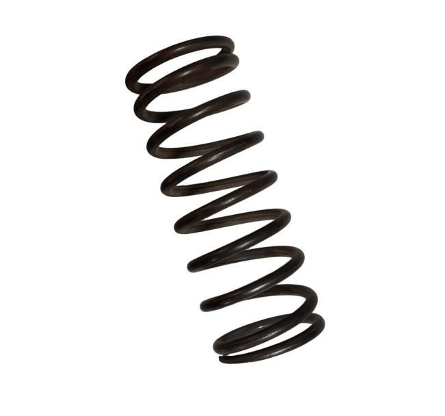 SPRĘŻYNA ROBEL SIŁOWNIK DUŻA